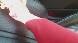 Уход за кожаным салоном автомобиля средством Leraton