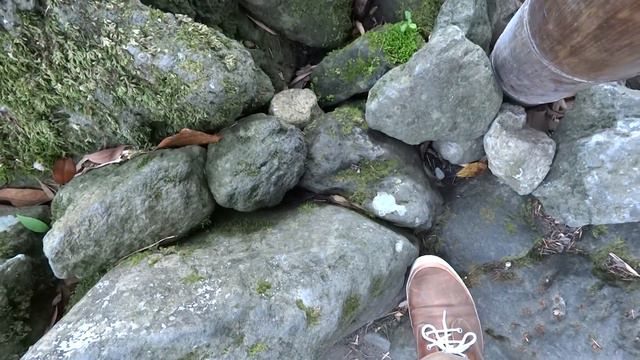 Дзынь смотреть онлайн