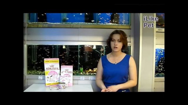 RoyalCanin Kitten на Ilikepet