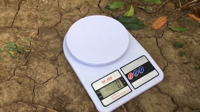 Флемінг Фюрі пф15 як перспективний сорт персика смотреть онлайн