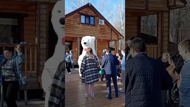 Поздравление от белого мишки в Оренбурге.24.03.23 смотреть онлайн