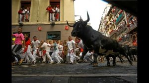 Убегают от быков За толпой бегут быки / так развлекаться бегать от быков я не советовал бы вам