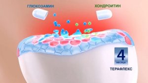 Метро-ТВ. Рекламный материал Терафлекс