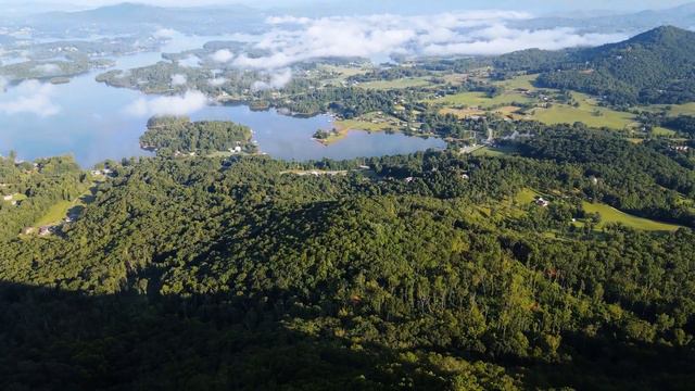 Тайны джунглей. 4К. Природа - relax. смотреть онлайн