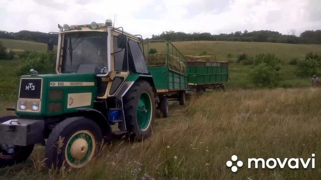 Сено. нашли РОГ косули. Ивана Купала смотреть онлайн