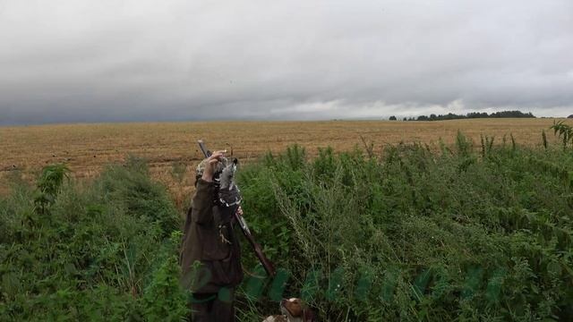 Охота на вяхиря в Вологодской области #1 Чистый экспромт смотреть онлайн