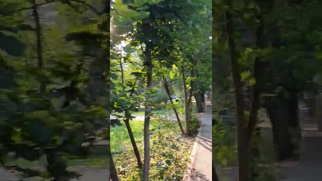 СУБХ БАХАЙР ДУСТОН🤚🤲💐🚍 смотреть онлайн