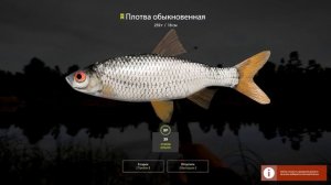 Густера на озере Комариное • Русская рыбалка 4 • Ловля на фидер. Фарм монет и опыта новичкам