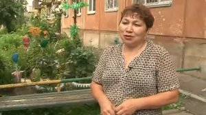 Красивый палисад своими руками