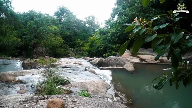 Beautiful Relaxing Morning Music➤Boost Positive Energy➤Peaceful Morning Meditation Music For Wake U