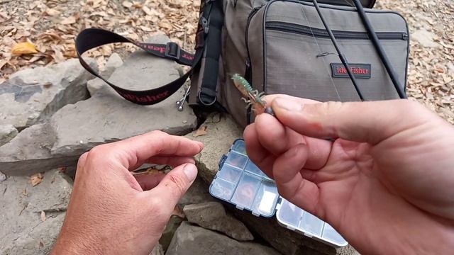 Рыбалка на судака Ультралайт, Микроджиг. Ловля судака на мелкий силикон. Ультралайт БлюБерд 2020. смотреть онлайн