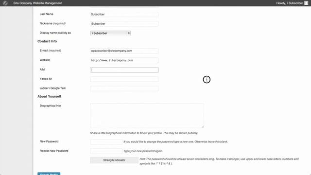 Wordpress Subscriber Panel Access Tutorial смотреть онлайн