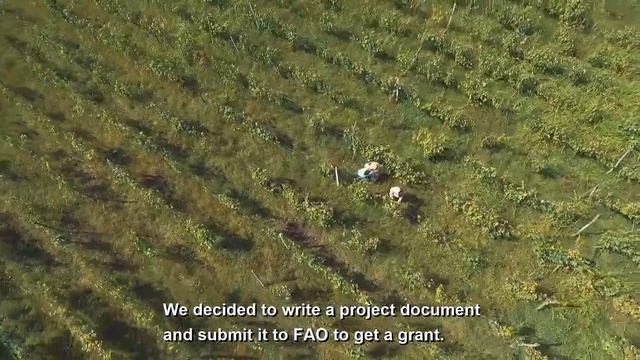 FAO - Supporting Rural Development In Racha-Lechkhumi And Kvemo Svaneti, Georgia