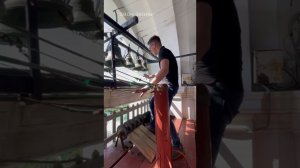 Антон Богачев, колокольный звон в Троице-Сергиевой лавре сегодня.  Trinity-Sergius Lavra