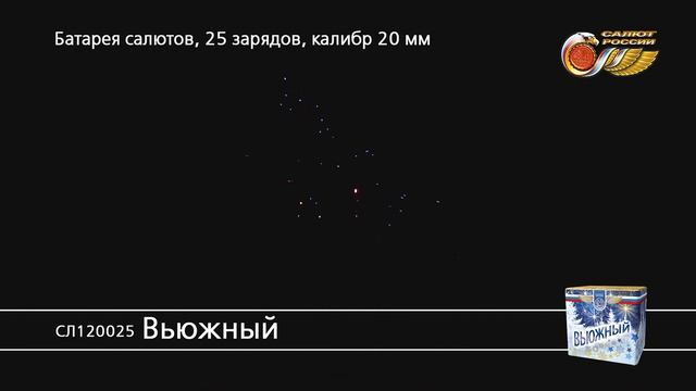 СЛ120025 Вьюжный смотреть онлайн