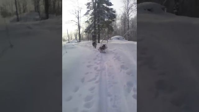 Вот как надо ходить на рыбалку смотреть онлайн