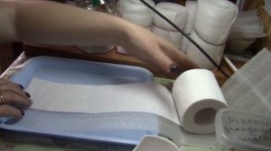 Сею виолу в улитку.