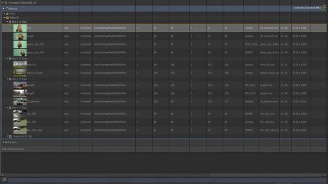 Resizing the List View Thumbnails - Flame 2017x1 смотреть онлайн