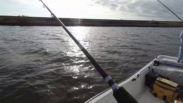 Bayou Bienvenue Speckled Trout Fishing with Friends смотреть онлайн