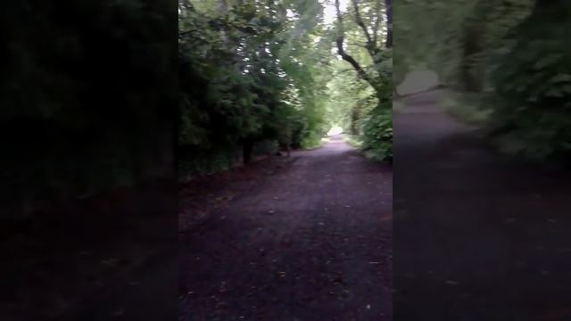 Монтре. Возле замка. смотреть онлайн
