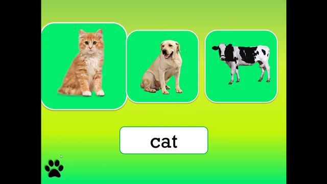 Animals Presentation (ads) смотреть онлайн