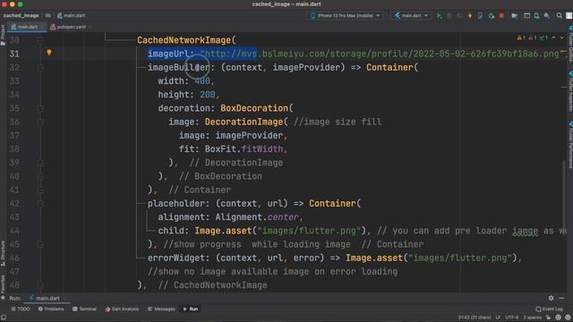 Flutter Cache Network Image and Lazy Loading With Placeholder смотреть онлайн