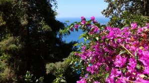 Нашиди Рамазон бар забони Точики (Нашид Рамадан на Таджикском языке)