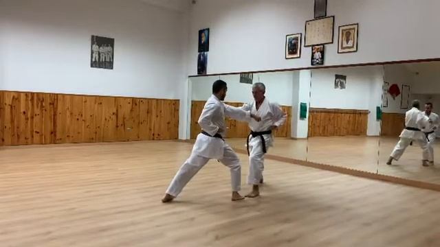 Kihon Ippon Kumite. Karate Shotokan. смотреть онлайн