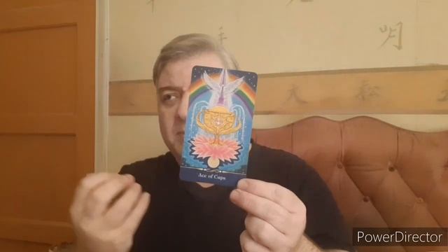 Daily Draw December 13 смотреть онлайн