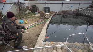 Рыбалка в своём пруду. Взвешиваю осетра и форель.