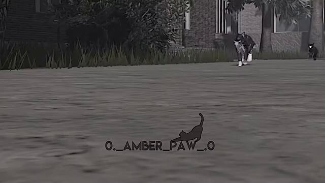 Видео по котам воителям | снято с моей групой по WC смотреть онлайн