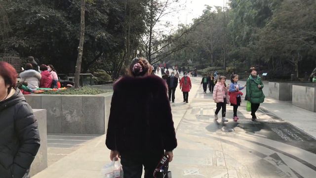 [4K]China walk tour | Walk in Huanhuaxi Park Chengdu смотреть онлайн