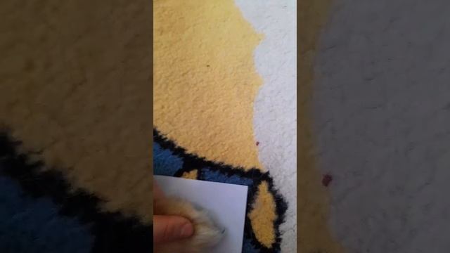 отпечаток лапы!?? смотреть онлайн