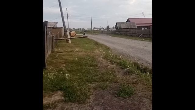 Зелёный Урал смотреть онлайн