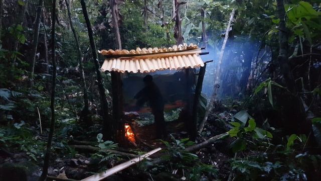 Build shelters, discover mysterious insects that forage at night смотреть онлайн