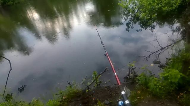 Вечерняя рыбалка,Гольян,и огромный Ротан. Поклёвки бешаные смотреть онлайн