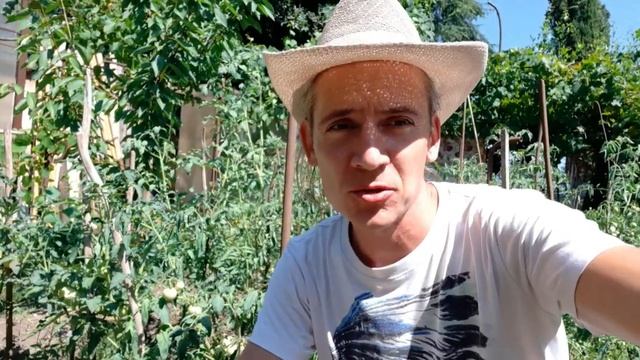 Абхазия сегодня. Цитрусовый совхоз Алахадзы. Море и пляж смотреть онлайн