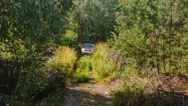 2016 Ford Ranger - 5 Things You Need To Know смотреть онлайн