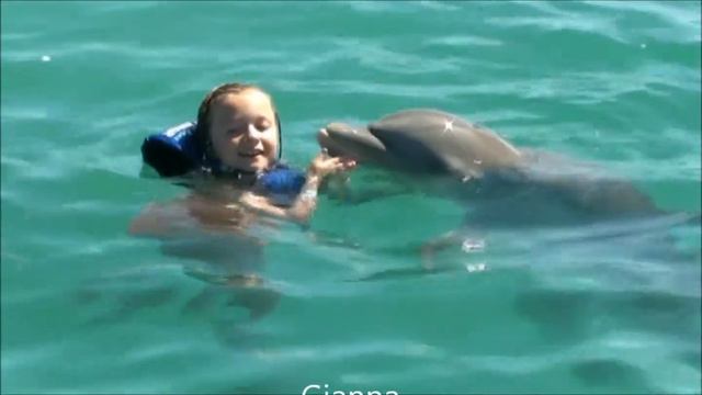 Dolphin Exursion Punta Cana 14 смотреть онлайн
