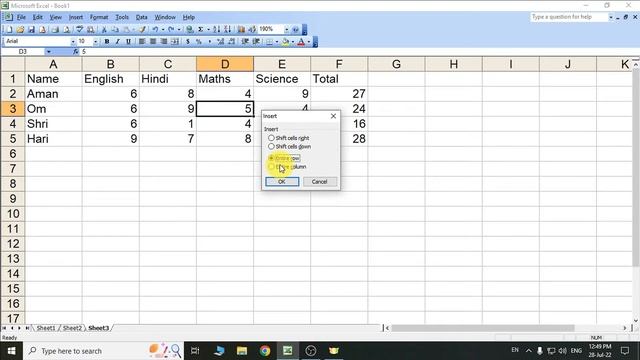 Day 24 - Insert menu | Microsoft Excel 2003 | Tiger Army | 2022 смотреть онлайн