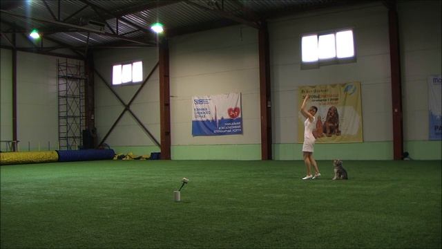 Юрчук Екатерина  и Сваргас Вице Верса,  класс  ДЕБЮТ ФРИСТАЙЛ