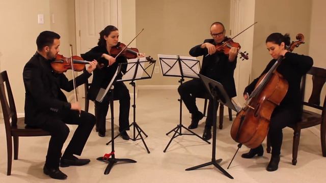 "Canon" - Johann Pachelbel смотреть онлайн