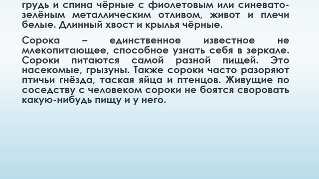 Урок экологии "Птиц волшебных стая" смотреть онлайн