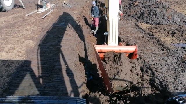 Работы на торфянике . Excavator Working In Swamp.