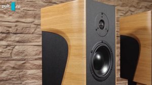 Morel Avyra 622 — необычные внешне и интересно звучащие израильские полочники