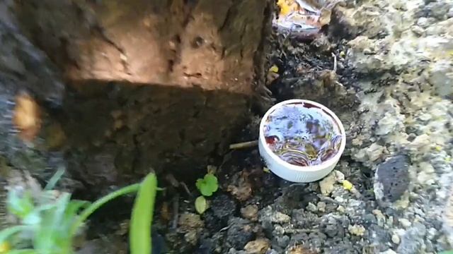 Игры на ПК и Консолях