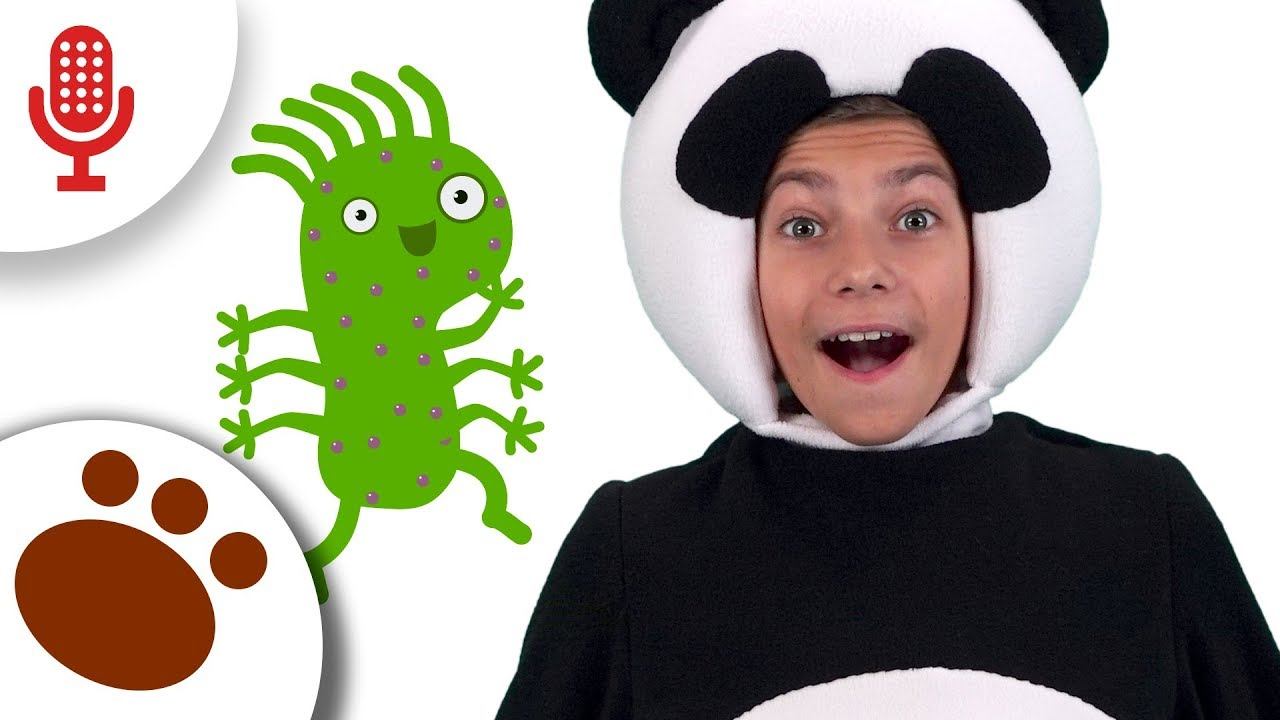 КАРАОКЕ - МИКРОБ - Три Медведя Детская песенка про чистые ручки - three bears song смотреть онлайн