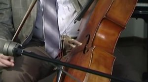 Музыка 51. Виолончель  — Академия занимательных наук