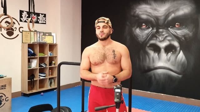 ЛУЧШАЯ СИЛОВАЯ ПРОГРАММА ТРЕНИРОВОК! смотреть онлайн