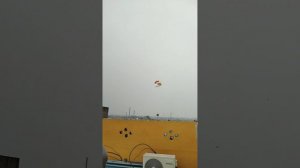 different kites on basant#viral#ytshort#